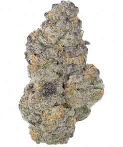 Weekend at Gary's, tropikal aroması ve enerji verici etkisiyle öne çıkan dengeli bir hibrittir. Yüksek kaliteli genetik yapısını keşfedin ve özelliklerini görüntüleyin.