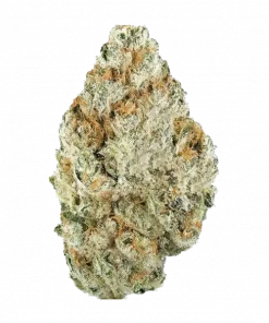 Beyaz Kiraz Çiçeği, meyvemsi aroması ve 'e varan THC içeriğiyle öne çıkan Indica dominant bir türdür. Yoğun etkilerini keşfetmek için hemen görüntüleyin.