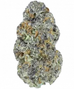 White Coconut Pie, tatlı meyve aroması ve rahatlatıcı etkisiyle bilinen Indica dominant bir türdür. Yüksek verimli genetik yapısını keşfedin ve detayları görüntüleyin.