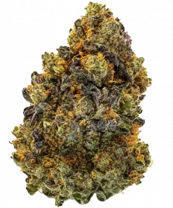 White Cronuts, tatlı vanilya aroması ve yüksek THC içeriğiyle bilinen bir Indica dominant türdür. Enerji verici etkilerini ve genetik yapısını keşfedin.