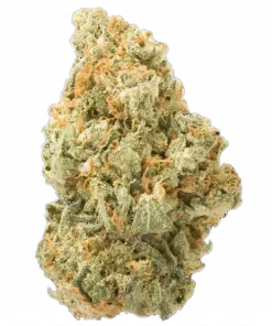 White Lemon, kimyasal limon aroması ve yüksek verimiyle bilinen dengeli bir hibrit türdür. Canlandırıcı etkilerini ve genetik yapısını keşfedin.