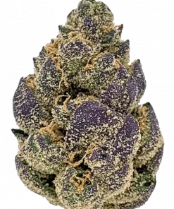 White Rainbow, sert yakıtımsı aroması ve yüksek THC içeriğiyle öne çıkan Sativa baskın bir türdür. Zihinsel berraklığı ve rahatlamayı keşfedin.