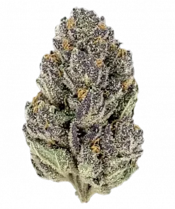 White Runtz x Purple Punch, vanilya aroması ve rahatlatıcı etkisiyle öne çıkan Indica dominant bir türdür. Genetik yapısını ve faydalarını keşfedin.