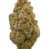 Great White Shark, sert aroması ve yüksek THC içeriğiyle bilinen Indica dominant bir türdür. Dengeli etkileriyle öne çıkar. Genetik yapısını keşfedin.