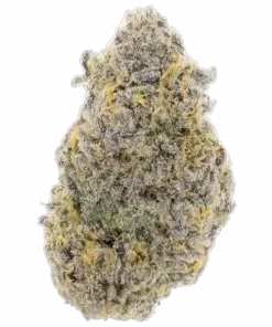 White Cheese, yakıtımsı aroması ve rahatlatıcı etkisiyle öne çıkan Indica baskın bir türdür. Kısa sürede hasat veren bu türün genetik yapısını keşfedin.