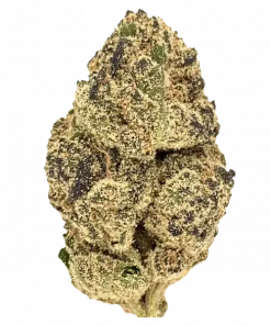 White Tahoe Cookies, yakıtımsı aroması ve yüksek THC içeriğiyle bilinen Indica baskın bir türdür. Etkilerini ve tıbbi faydalarını keşfetmek için hemen görüntüleyin.