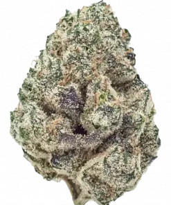 White Wedding, vanilya ve kahve aromalarıyla öne çıkan, dengeli bir Indica hibritidir. Rahatlatıcı ve canlandırıcı etkilerini keşfedin. Hemen görüntüleyin.