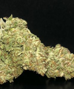 White Widow Auto Fem Esrar Tohumu (Fast Buds)