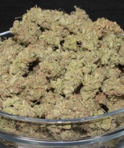 White Widow Auto Fem Esrar Tohumu (Fast Buds)