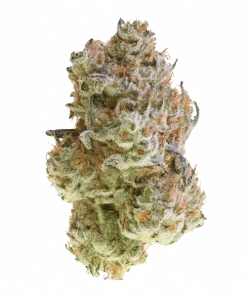 White Zangria, narenciye aromaları ve yüksek THC içeriğiyle öne çıkan Indica baskın bir türdür. Yaratıcılığı ve rahatlamayı keşfedin.