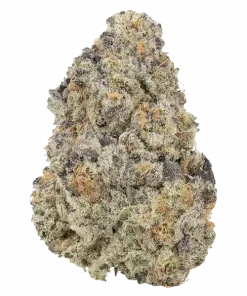 Wild Fire, yakıtımsı aroması ve dengeli yapısıyla öne çıkan bir hibrit türdür. Uykusuzluk ve ağrı için ideal. Genetik yapısını ve etkilerini keşfedin.