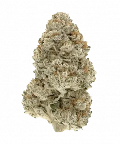 Wildcard, turunçgil ve peynir aromalarıyla öne çıkan Indica dominant bir türdür. Yüksek THC içeriğiyle güçlü etkilere sahiptir. Genetik yapısını keşfedin.