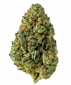 Willy Wonka, bal ve çam aromalı, yüksek THC'li Sativa baskın bir türdür. Ruh halini yükseltici ve rahatlatıcı etkileri keşfedin. Hemen görüntüleyin.