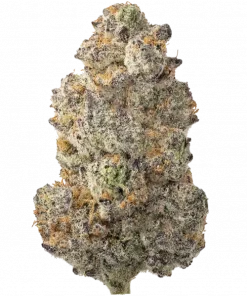 Windu, yakıtımsı ve tatlı aromalarıyla öne çıkan dengeli bir hibrit türüdür. Yüksek THC içeriğiyle dikkat çeken bu türün genetik yapısını keşfedin ve etkilerini görüntüleyin.