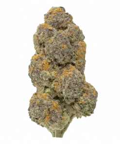 Wizard Fuel, yakıtımsı ve narenciye notalarıyla öne çıkan Indica baskın bir türdür. Yüksek THC içeriğiyle depresyon ve stresi azaltmaya yardımcı olur. Hemen keşfedin.