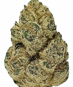 Wookies, kimyasal aroması ve yüksek THC içeriğiyle öne çıkan Indica dominant bir türdür. Uyku sorunları için ideal. Etkilerini keşfedin.