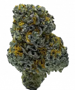 Lumpy’s Wu-Sah Replacement, tatlı haze aroması ve enerjik etkisiyle öne çıkan sativa baskın türdür. Yaratıcılığınızı artıracak bu özel türü keşfedin.