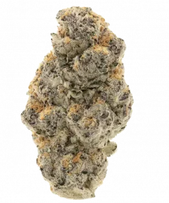 X Haze, narenciye aromaları ve yüksek enerjisiyle bilinen Sativa baskın bir türdür. Stres ve kaygıya karşı potansiyel faydalarını keşfedin. Hemen görüntüleyin.