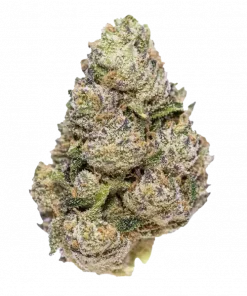 Xeno, turunçgil aromaları ve rahatlatıcı etkisiyle bilinen indica baskın bir türdür. Stresi azaltmak ve gevşemek için Xeno'yu keşfedin.