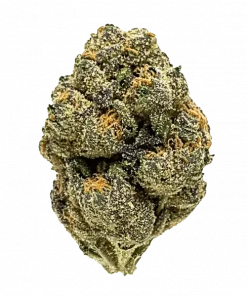 XXX, tatlı ve toprak aromalarıyla öne çıkan Indica baskın bir türdür. Dengeli etkileriyle rahatlama sağlar. Bu eşsiz türü keşfedin.