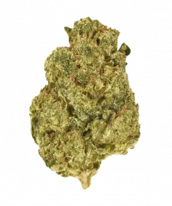 Yama, yakıtımsı ve tatlı aromaları ile öne çıkan dengeli bir hibrit türdür. Sativa etkileri ve Hellfire OG genetiğiyle keşfedin.