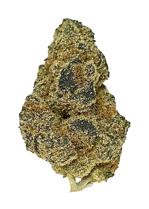 Yoda OG, sert narenciye aroması ve THC içeriğiyle öne çıkan Indica dominant bir türdür. Derin rahatlama ve uyku getirici etkileri keşfedin.