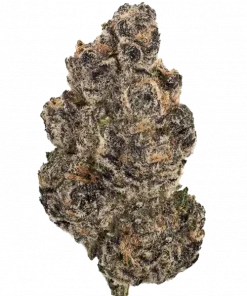 Ted’s Budz Yodie Land, tatlı Gushers aroması ve yüksek THC içeriğiyle öne çıkan indica dominant bir türdür. Derin rahatlama için genetik yapısını keşfedin.