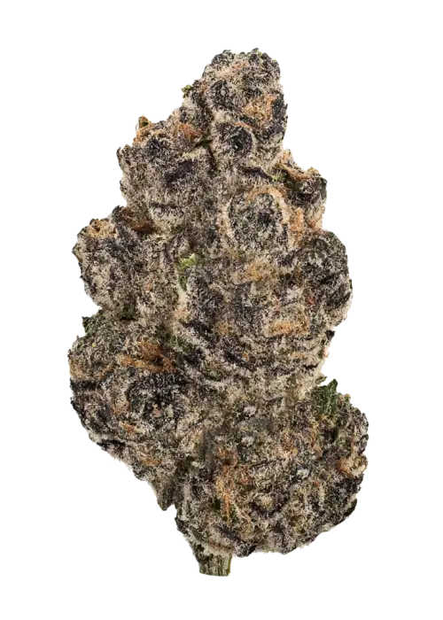 Ted’s Budz Yodie Land, tatlı Gushers aroması ve yüksek THC içeriğiyle öne çıkan indica dominant bir türdür. Derin rahatlama için genetik yapısını keşfedin.