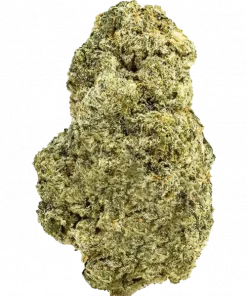 You Whoo, çikolata ve toprak aromalarıyla öne çıkan Indica dominant bir türdür. Yatıştırıcı etkileriyle bilinir. Bu eşsiz türü keşfedin ve deneyimleyin.