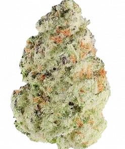 Z’lectrolytes, üzüm aromaları ve dengeli etkileriyle öne çıkan Indica ağırlıklı bir türdür. Yaratıcılığı artıran bu eşsiz türü keşfedin.