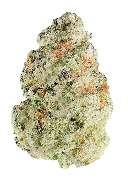 Z’lectrolytes, üzüm aromaları ve dengeli etkileriyle öne çıkan Indica ağırlıklı bir türdür. Yaratıcılığı artıran bu eşsiz türü keşfedin.