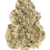 Z3, tatlı tropikal aromaları ve yüksek THC içeriğiyle bilinen Indica dominant bir türdür. Dengeli etkileriyle öne çıkar. Bu eşsiz türü keşfedin.