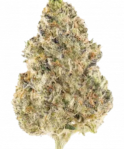 Z3, tatlı tropikal aromaları ve yüksek THC içeriğiyle bilinen Indica dominant bir türdür. Dengeli etkileriyle öne çıkar. Bu eşsiz türü keşfedin.