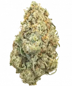 Zack’s Pie, tatlı meyve aromaları ve dengeli etkileriyle öne çıkan bir hibrit türdür. Yaratıcılığı artıran ve rahatlama sağlayan bu türü keşfedin.