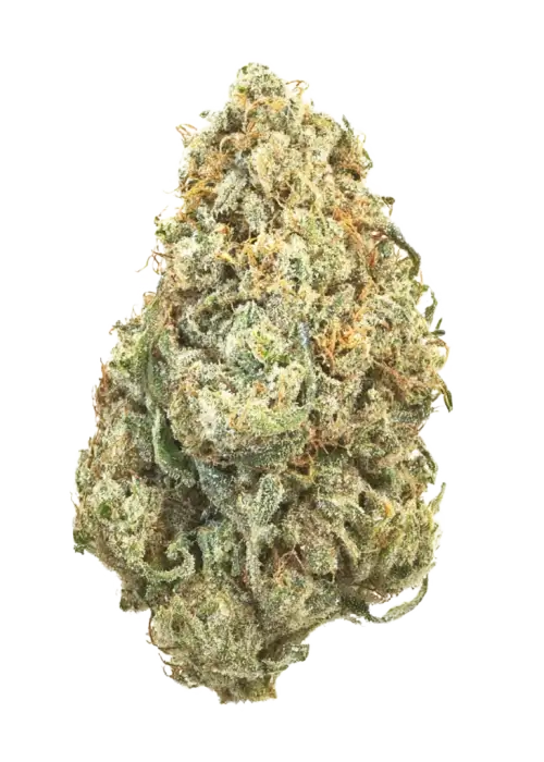 Zack’s Pie, tatlı meyve aromaları ve dengeli etkileriyle öne çıkan bir hibrit türdür. Yaratıcılığı artıran ve rahatlama sağlayan bu türü keşfedin.