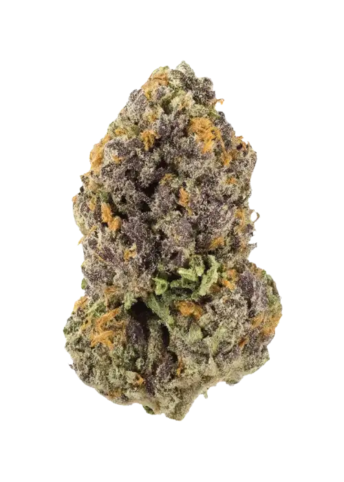 ZAKURA, benzersiz meyve aroması ve yüksek THC içeriğiyle bilinen Indica baskın bir türdür. Depresyon ve uykusuzluğa iyi gelir. Etkilerini keşfedin.