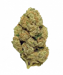 Zangria, ananas aromalı, THC'li indica baskın bir türdür. Stresi azaltan ve rahatlama sağlayan bu eşsiz türü keşfedin ve genetik yapısını görüntüleyin.