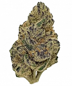 Zawtz, sert benzin kokusu ve THC ile ciğere vuran Indica dominant bir türdür. Depresyon ve uykusuzluğa iyi gelir. Bu eşsiz türü keşfedin.