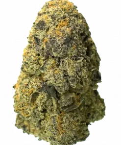 Zazaya, tropikal meyve aromaları ve rahatlatıcı etkileriyle bilinen Indica dominant bir türdür. Yüksek reçine üretimiyle öne çıkar. Özelliklerini keşfedin.