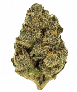 Zeal, vanilya ve yakıtımsı notalarıyla öne çıkan Indica baskın bir türdür. THC ile eşsiz bir deneyim sunar. Bu özel türü keşfedin.