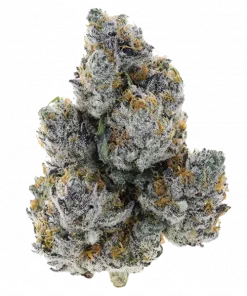 Zeclair, vanilya aroması ve THC oranıyla öne çıkan dengeli bir hibrit türdür. Yüksek THC'li bu türün genetik yapısını ve etkilerini keşfedin.