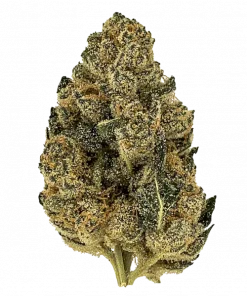 Zelatti, yakıtımsı ve meyvemsi aromalarıyla öne çıkan Indica dominant bir türdür. Orta seviyedeki THC içeriğiyle dengeli bir deneyim sunar. Özelliklerini keşfedin.