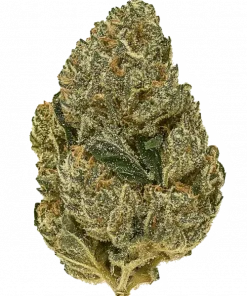 Zello, tatlı orman meyveleri ve yakıtımsı aromalarıyla öne çıkan Indica dominant bir türdür. THC ile rahatlatıcı etkilerini keşfedin ve genetik yapısını görüntüleyin.