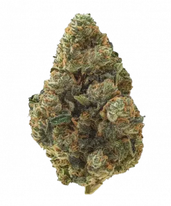 Zerbert, tatlı yaban mersini aroması ve rahatlatıcı etkisiyle öne çıkan Indica baskın bir türdür. Backpack Boyz genetiğini keşfedin ve etkilerini görüntüleyin.