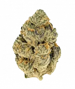 Zereal Milk, yakıtımsı aroması ve yüksek THC içeriğiyle öne çıkan indica baskın bir türdür. Bu eşsiz türün genetik yapısını ve etkilerini keşfedin.