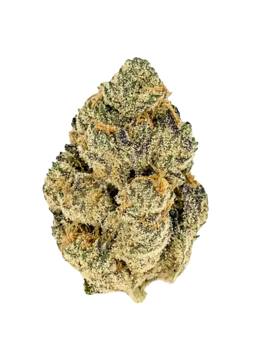 Zereal Milk, yakıtımsı aroması ve yüksek THC içeriğiyle öne çıkan indica baskın bir türdür. Bu eşsiz türün genetik yapısını ve etkilerini keşfedin.