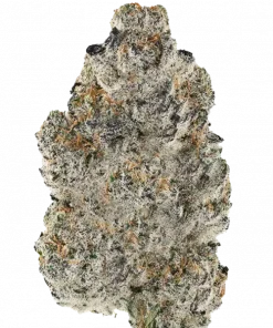 Zereza Polvo, tatlı meyve aromaları ve rahatlatıcı etkisiyle bilinen Indica dominant bir türdür. Yaratıcılığı tetikler ve stresi azaltır. Özelliklerini keşfedin.