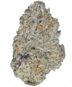 Zhiska Fresca, ananas ve kavun aromalarıyla öne çıkan dengeli bir türdür. Yüksek reçine üretimiyle bilinir. Bu eşsiz türü keşfedin ve deneyimleyin.