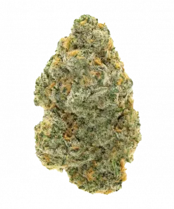 Zifu, toprak tonları ve yüksek THC içeriğiyle öne çıkan Indica baskın bir türdür. Yaratıcılığı artıran etkileriyle bilinen bu türü keşfedin.