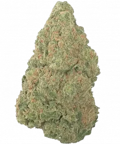 The Original Z (Zkittlez), tropikal meyve ve limon aromalarıyla öne çıkan Indica baskın bir türdür. Yüksek THC içeriğiyle rahatlatıcı etkilerini keşfedin ve hemen inceleyin.
